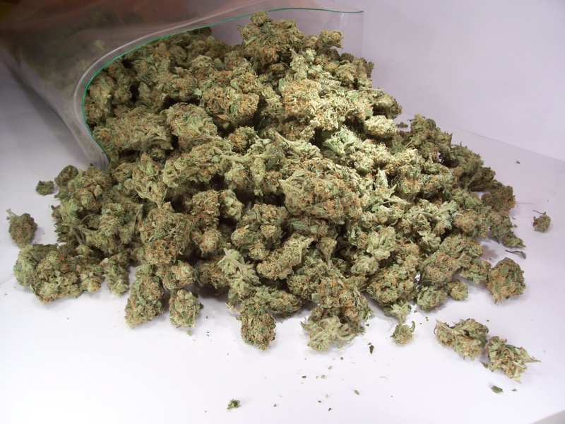 У жителя Соль-Илецка правоохранители нашли крупный сверток с марихуаной