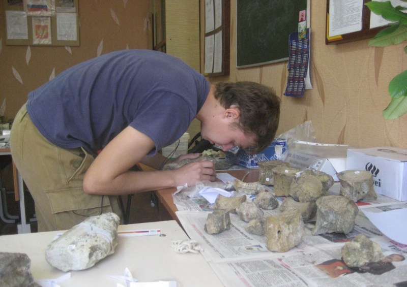 В Оренбургской области нашли останки неизвестного морского ящера