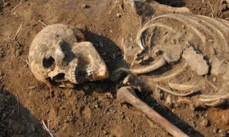В Оренбуржье в поле пастух нашел человеческий скелет