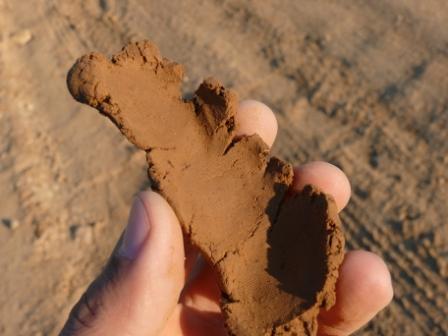 В Оренбуржье найдены огромные запасы глины