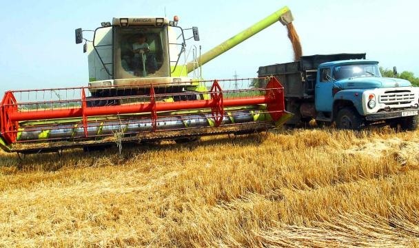 В Новосергиевском районе рекордный урожай зерна