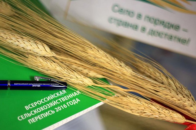 Росстат опубликовал оперативные итоги сельхозпереписи