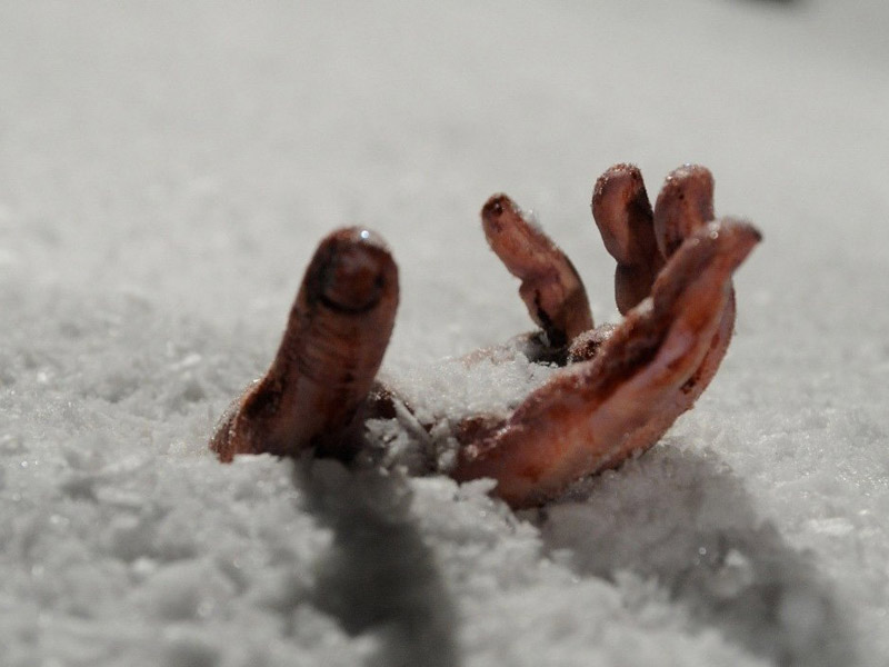 В Оренбуржье человек замерз насмерть на улице