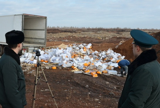 117 тонн контрафактного сыра закопали под Оренбургом