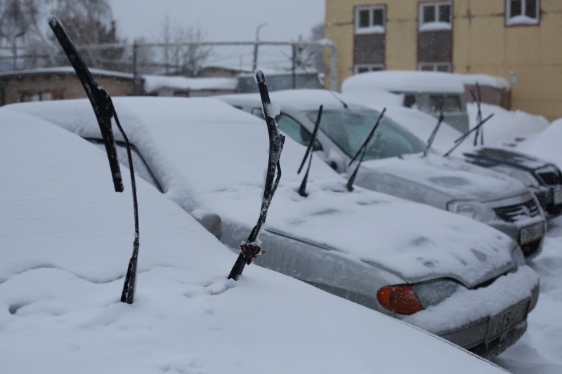 Оренбургскую область накрыло снежной пеленой