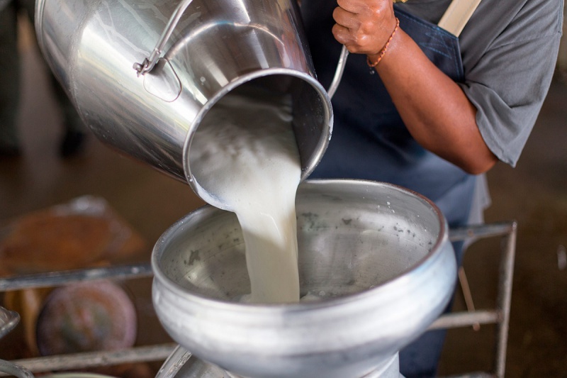 В Оренбуржье произвели более 140 тонн молока