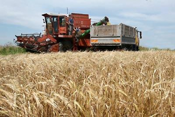 Аграрии продолжают уборку зерновых