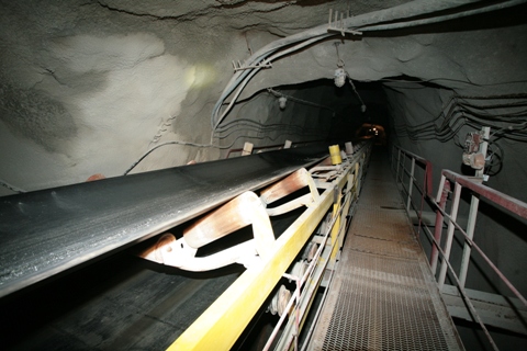 «Новая» принесет 4,5 тонн руды в год