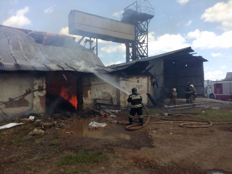 В Оренбурге пожар на комбикормовом заводе потушен