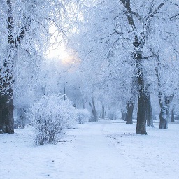 Входим в новый год с активным образом жизни
