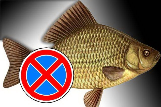 Определены сроки запрета рыболовства