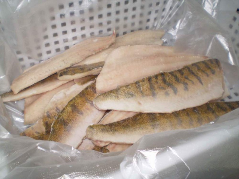 17 тонн свежезамороженной рыбы задержали на границе