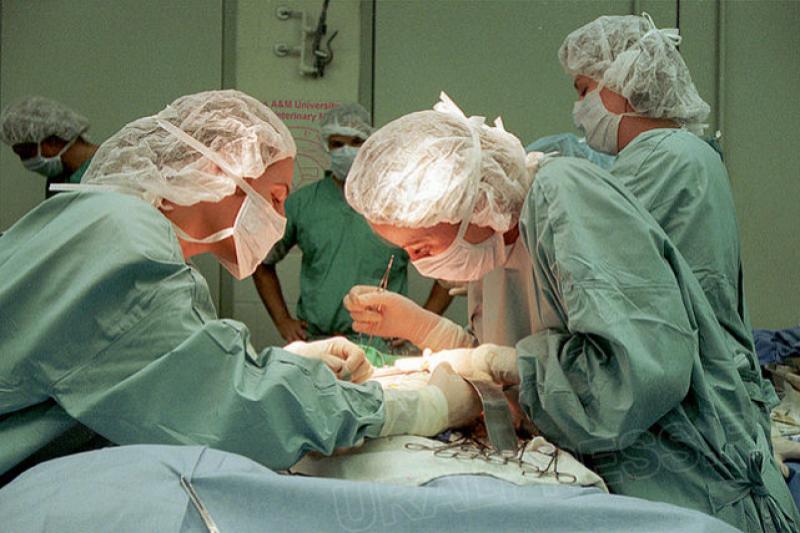 В Оренбурге еще двум пациентам пересадили неродственные почки