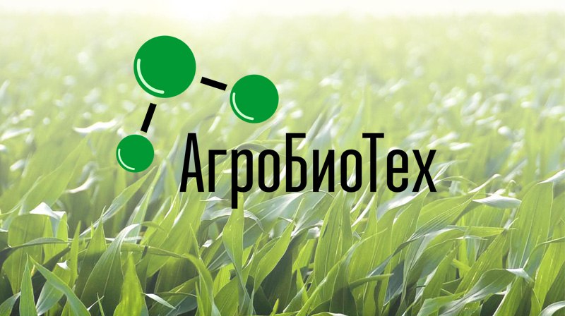 В Оренбурге будет работать платформа «АгроБиоТех»