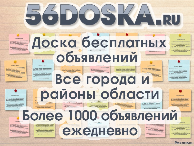Оренбуржцы оценили уникальный проект 56doska.ru.