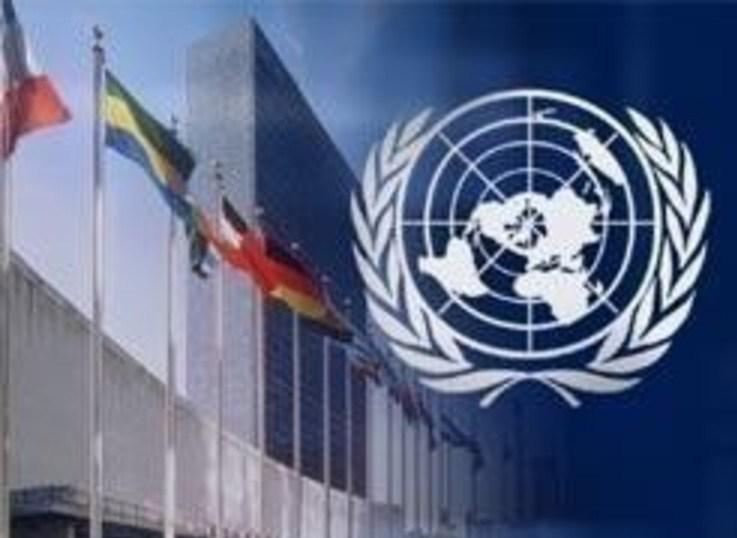 Доклад: Организация объединенных наций (ООН)