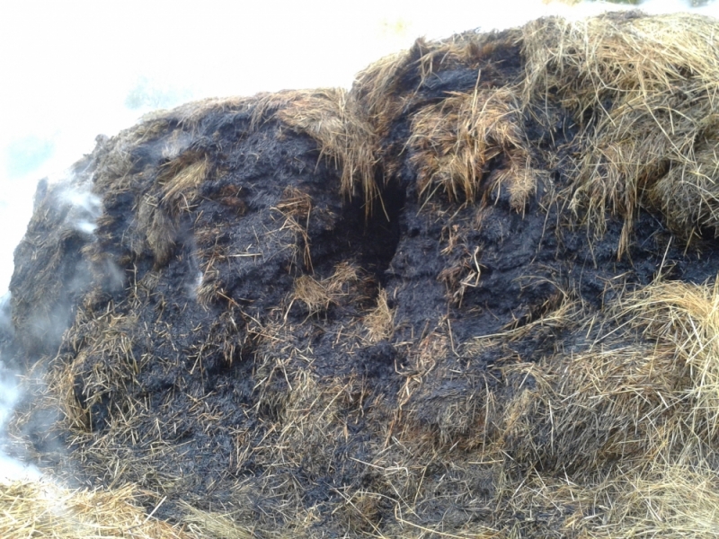 Житель Кувандыка сжег 8 тонн сена, чтобы согреться