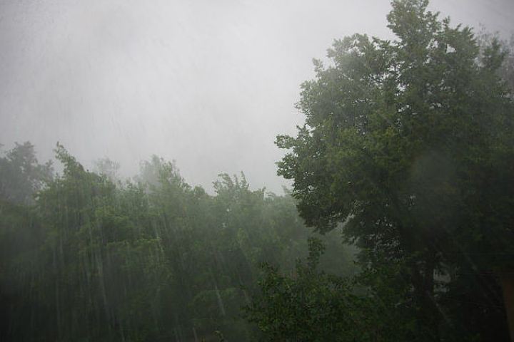 Дождь, гроза и ветер: в Оренбуржье ухудшится погода