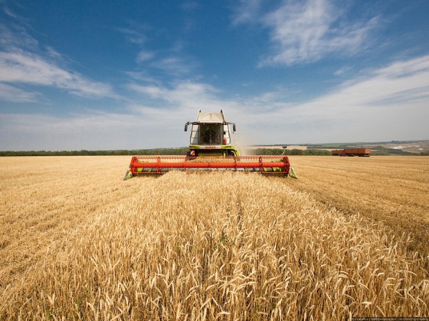 В Оренбуржье собрано 2 млн. тонн зерна