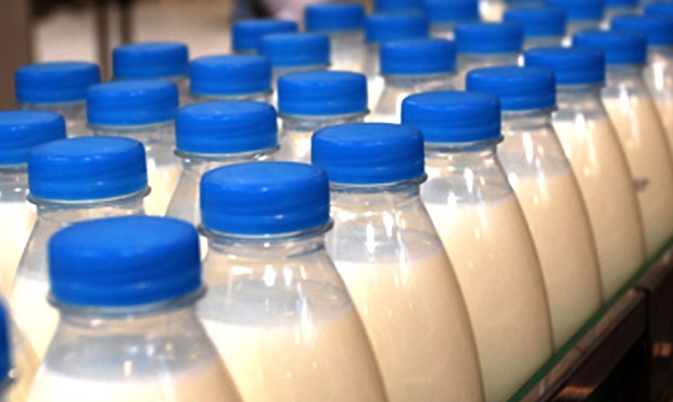 Руководитель «молочного» бизнеса не перечислил в казну более 8 млн налогов