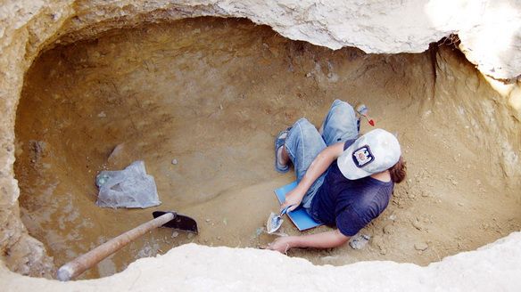 Нелегальные археологи искали монеты в степях
