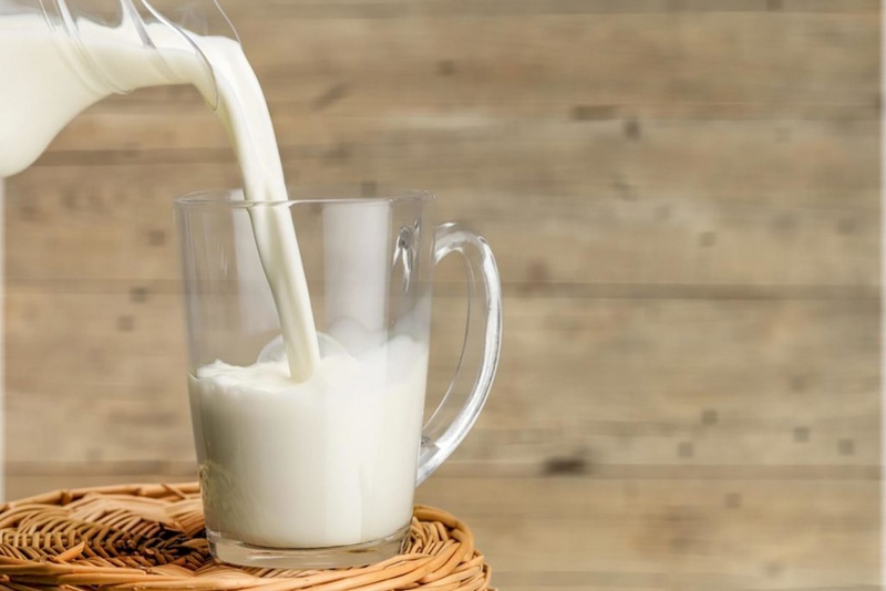 В Оренбуржье за сутки производят более 500 тонн молока