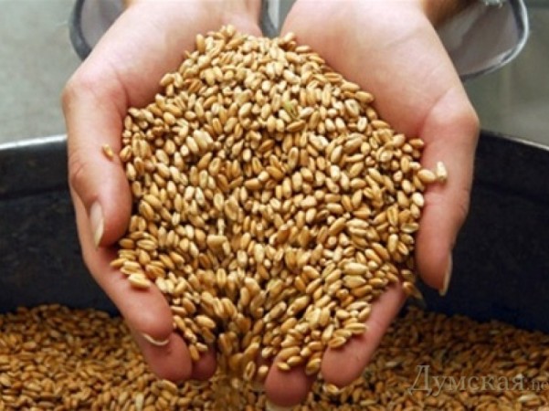 В Оренбуржье собран первый миллион тонн зерна