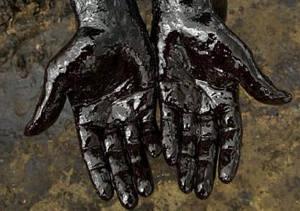 Грозит ли эко-системе розлив нефти в Оренбуржье?