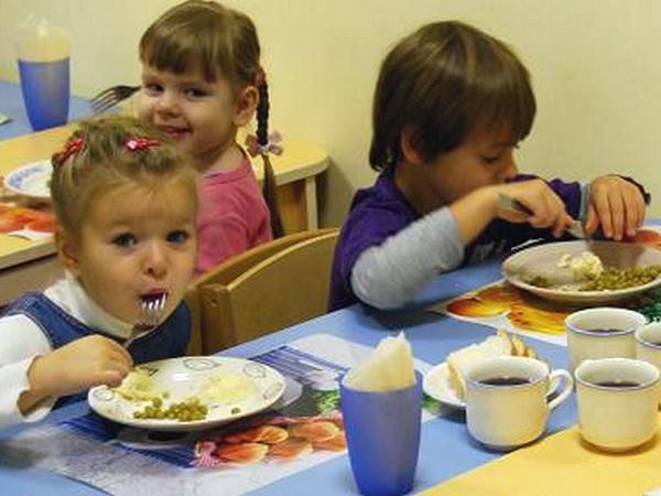 Оренбургские депутаты проверят питание в школах и детсадах