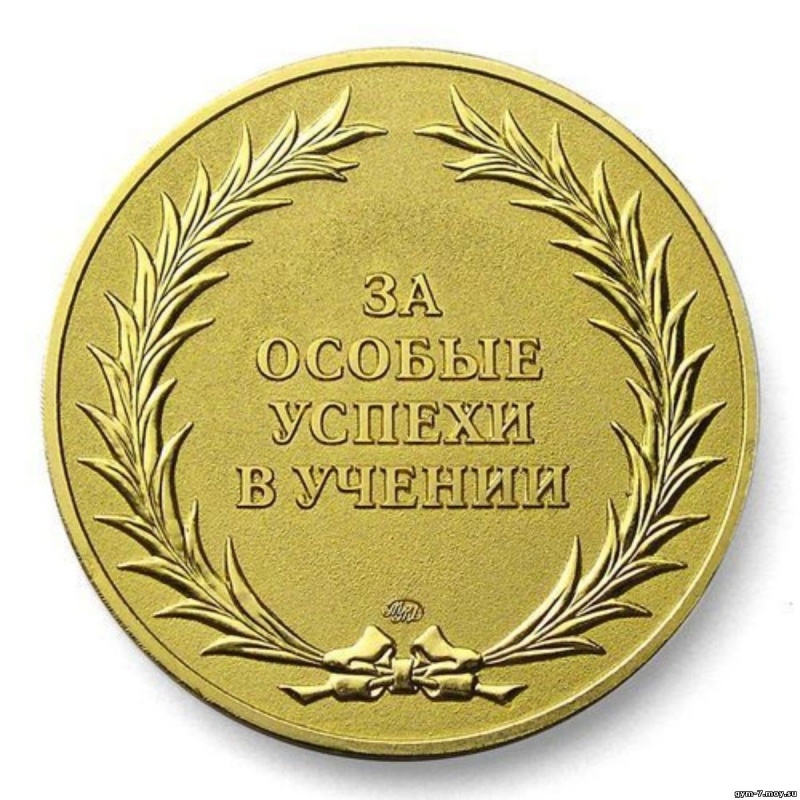 В Оренбурге появится своя медаль для отличников