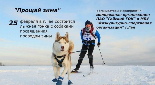 В Гае спортсмены будут бегать на лыжах вместе с собаками
