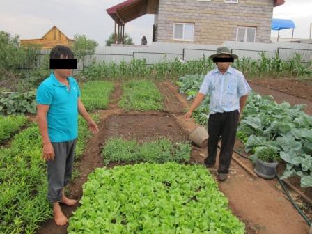 Двое вьетнамцев выращивали мак на даче