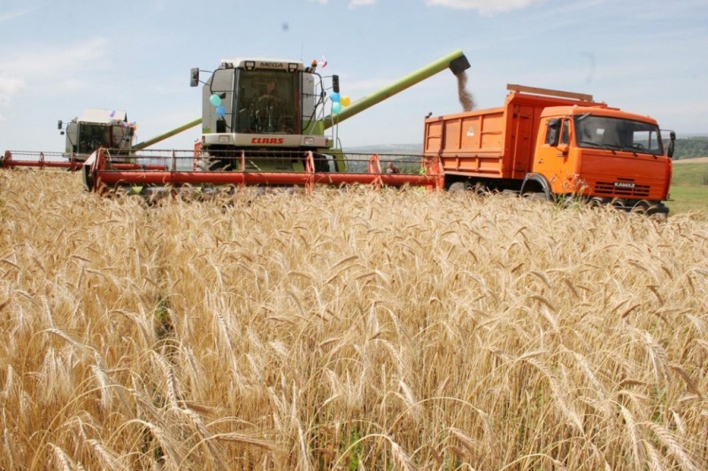 В Оренбуржье собрали более 3 млн тонн зерна