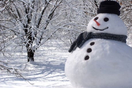 28 декабря в Оренбурге состоится шествие снеговиков