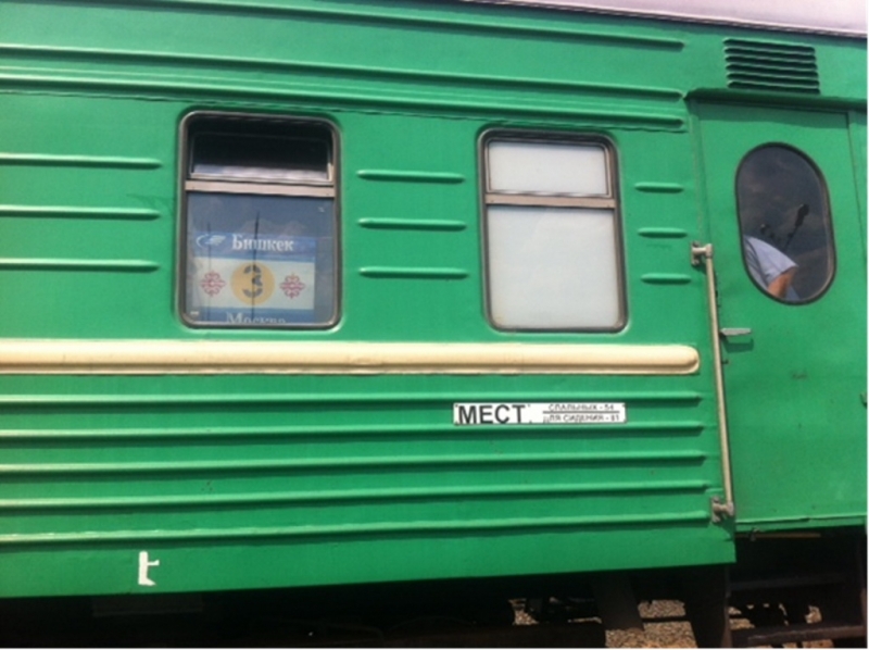 Проводница из Киргизии пыталась провезти в Москву литр тестостерона