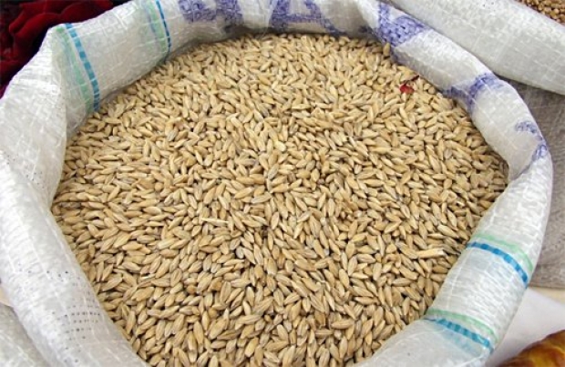 Житель Шарлыкского района может сесть на 5 лет за кражу 10 мешков зерна