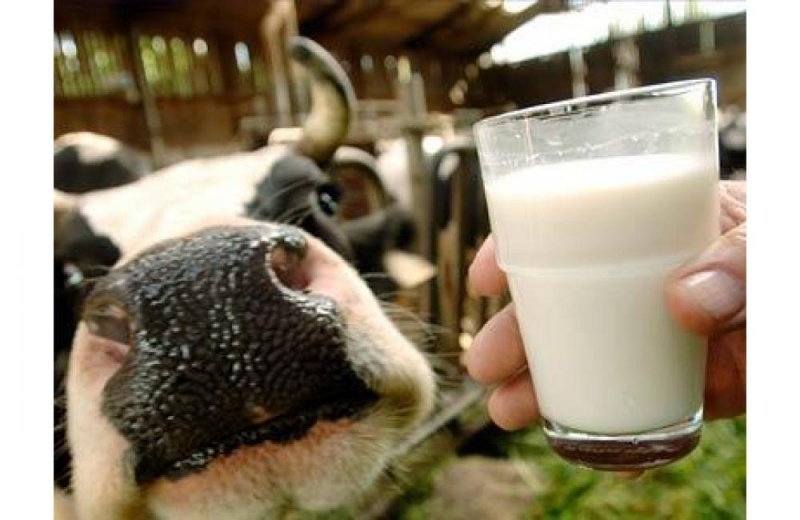 Молока хватит?