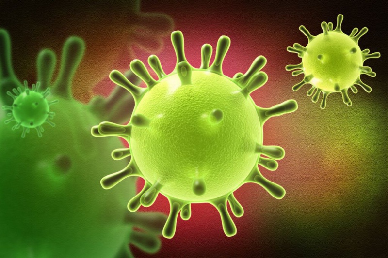 32 предварительно положительных результата на коронавирус зафиксировано в Оренбуржье