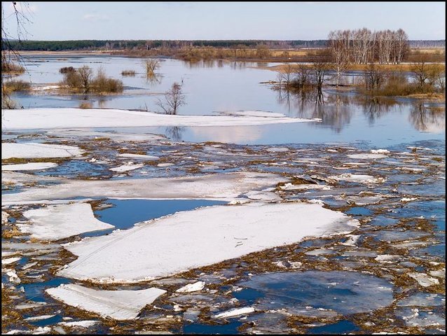 Уровень воды в Урале поднялся на 8 см за одни сутки