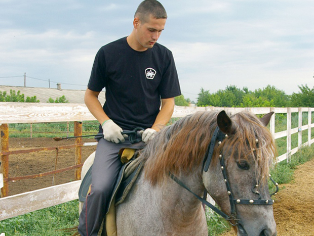 Улицы Оренбурга будет патрулировать конная полиция