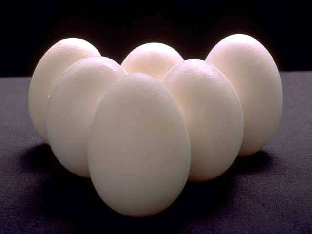 В Оренбургскую область привезли полмиллиона голландских яиц