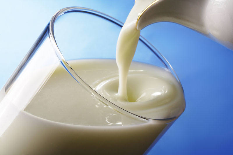 Сельхозпредприятия Ташлинского района лидируют по производству молока