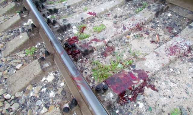 В Оренбургской области товарный поезд насмерть задавил человека 