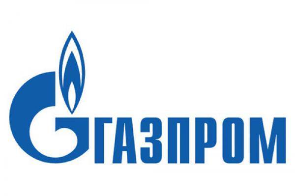 Юрий Берг встретился с генеральным директором ООО «Газпром энерго» 