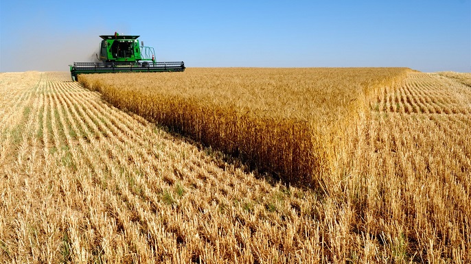  Три миллиона тонн зерна намолочено в Оренбуржье