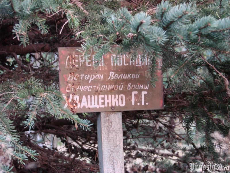 «Лес Победы» зазеленеет в память о Героях ВОВ