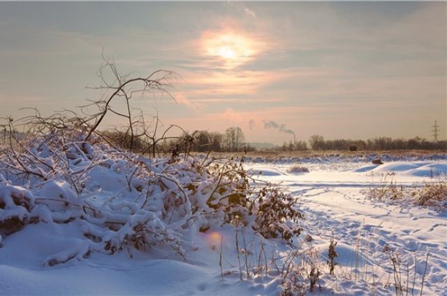 В Оренбуржье одинокий фермер замерз по дороге на работу