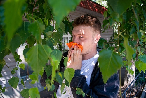 Эпидемия аллергии