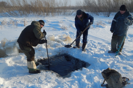 В Соль-Илецком районе помогают рыбе дышать