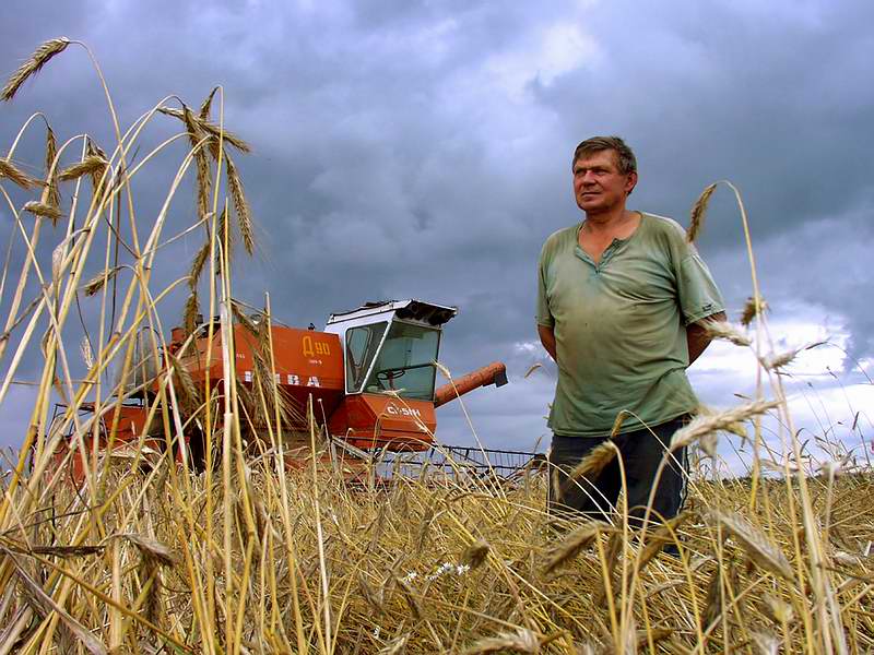 Фермеры Оренбуржья вносят вклад в развитие сел